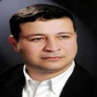 إعادة اختراع غزّة... اجترار الأوهام الأميركية _محمد أبو رمان