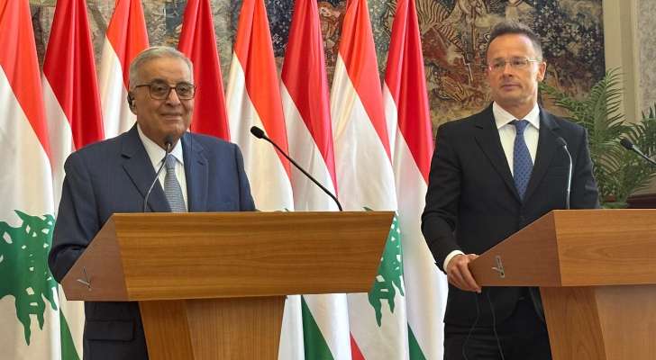 بوحبيب: لبنان يصر على تطبيق العدو الإسرائيلي الـ1701 !