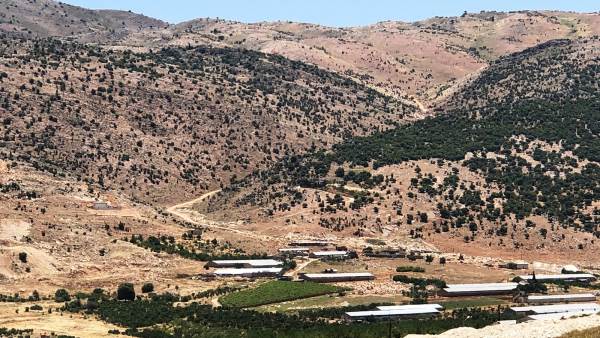 العدو يستهدف 3 مواقع في جرود قوسايا!