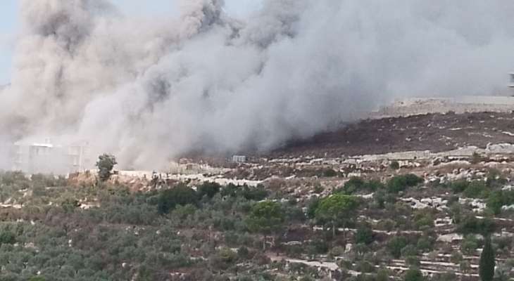 عدد من الشهداء والجرحى في غارة على منزل في الداودية!