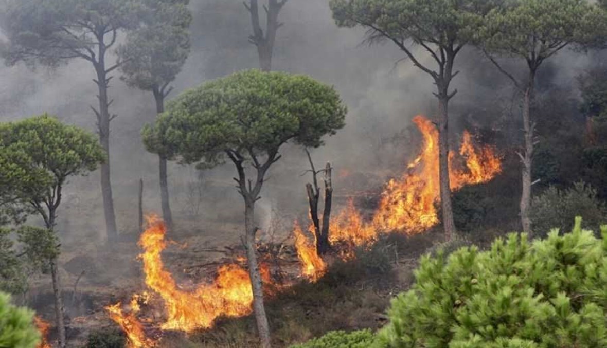 النيران ما زالت مشتعلة في أحراج الدبية..