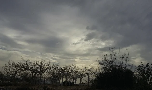 إليكم طقس الأيام المقبلة!