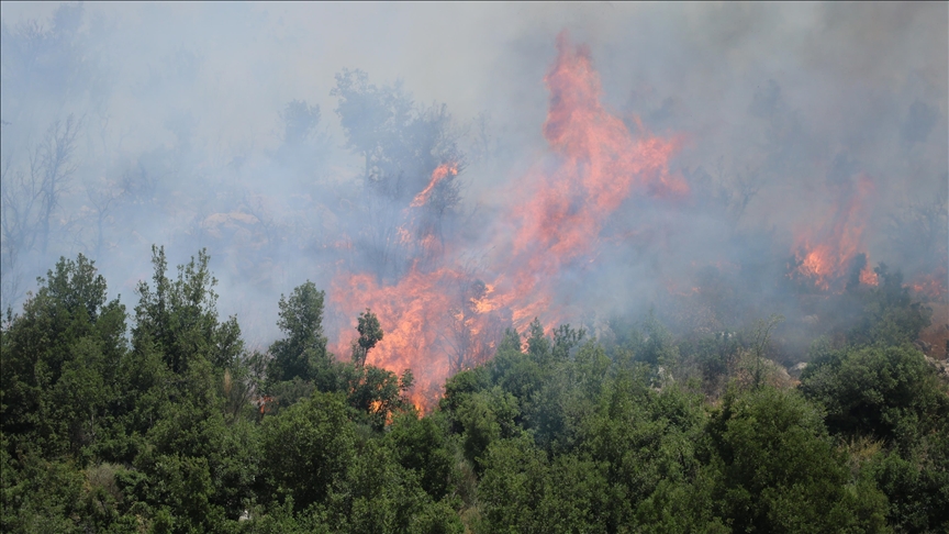 لبنان يواجه حرائق ضخمة تهدد الغابات والتوازن البيئي!