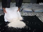 ضبط 11 مليون حبة كبتاغون قادمة من لبنان!