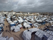 قاسم: مسؤولية مجلس السلام وقف الإبادة وإغاثة قطاع غزة!