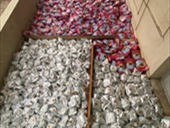 الضابطة الجمركية في البقاع تضبط كميات من المعسّل المهرَّب بعد مطاردة وإطلاق نار.. هذه التفاصيل!