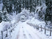 لبنان في قلب العاصفة الثلجية.. إليكم طقس اليومين المقبلين!