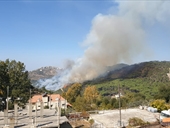 حريق كبير يلتهم المساحات الخضراء في الجنوب...إليكم كامل التفاصيل!