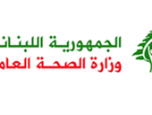 الصحة: شهيد و11 جريحا في الغارة الإسرائيلية على الطيري!
