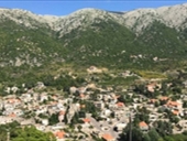 جريمة تهزذ بلدة معاصر الشّوف...إليكم التفاصيل الكاملة!