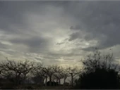 إليكم طقس الأيام المقبلة!